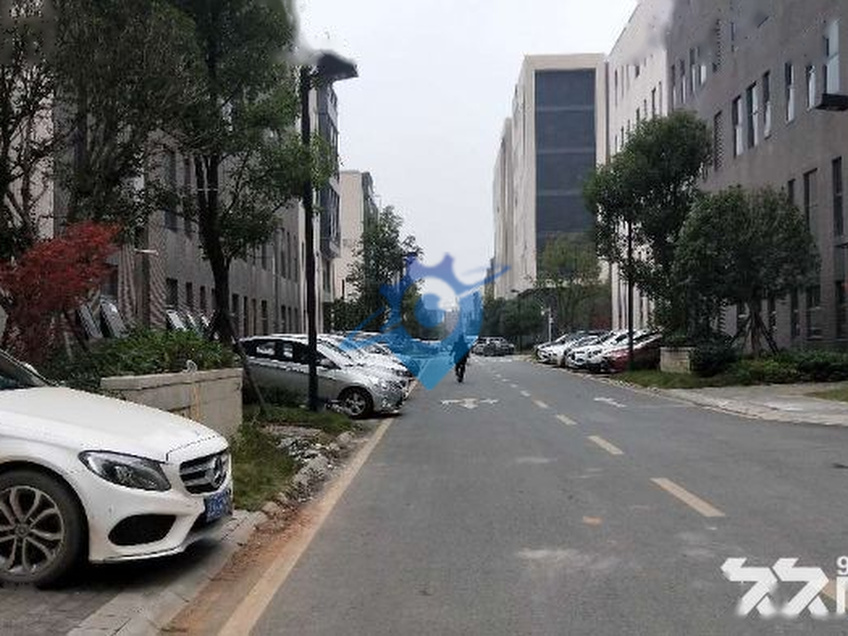 整层厂房、仓库、展厅