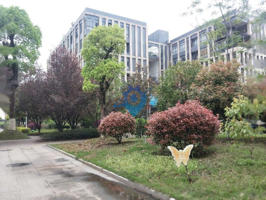 人民路6号线地铁口 低于原价出售