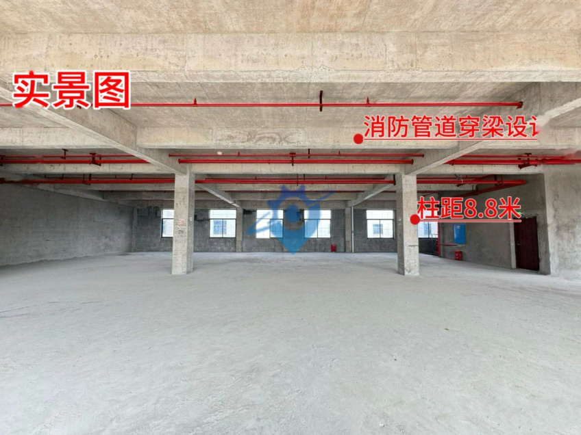 长沙最好品质园区 全新纯三层独栋厂房出售