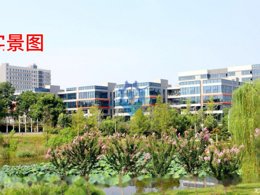 长沙经开区三层品质独栋厂房出租出售