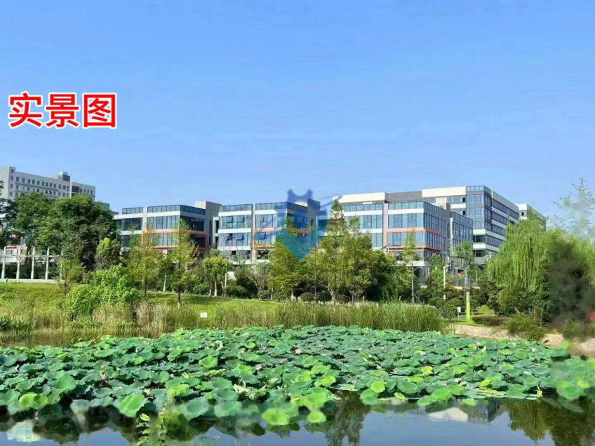 长沙经开区三层品质独栋厂房出租出售