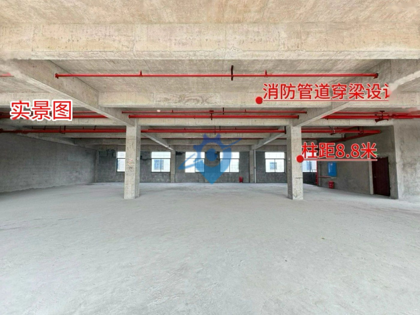 长沙最好品质园区独栋厂房出售